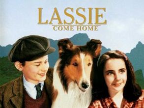 Torna a casa, Lassie!