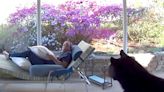 Black Bear Startles North Carolina Man Relaxing on Sun Lounger at Home — Watch!