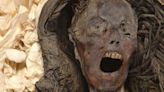 Grim Mystery of Ancient Egypt's 'Screaming' Mummy May Finally Be Solved