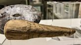1,800-year-old wooden phallus found in UK may have been a Roman ‘sex toy,’ study says