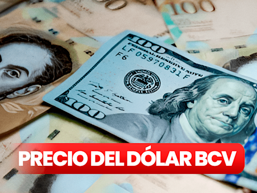 Precio del Dólar BCV y Dólar Paralelo HOY 28 de julio en Venezuela, vía Banco Central