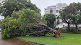 Watch live: Okinawa coastline as Typhoon Khanun approaches Japan