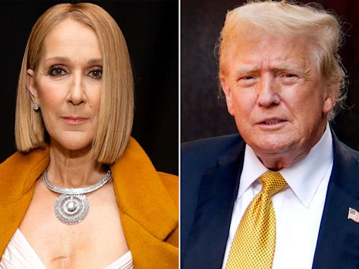 Celine Dion calls out Donald Trump for playing 'My Heart Will Go On' at campaign rally: 'Really, THAT song?'