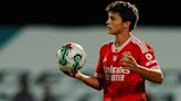 Manchester United withdraw from race for SL Benfica’s Joao Neves