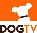 DOGTV