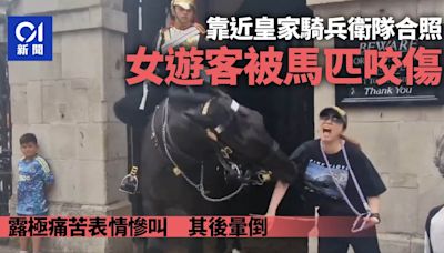 女遊客靠近英王衛隊合照 突遭馬匹咬傷暈倒