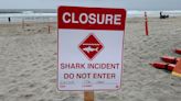 46-year-old man injured in apparent shark attack in California