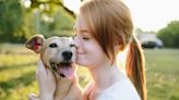 Dog Health Basics: What Your Dog Needs to Live a Healthy Life