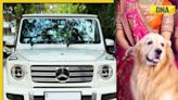 Meet Ambanis' Golden Retriever that flies in private jet, travels in Mercedes worth...