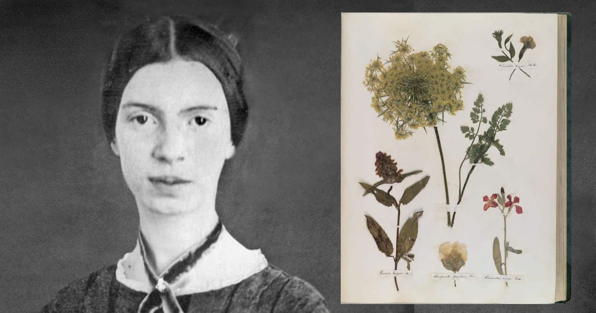 Emily Dickinson's Collection of Plants and Flowers Now Viewable Online for Free