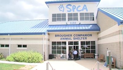 Recent parvo test results cause York County SPCA to close public canine browsing