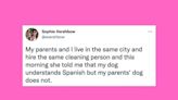 21 Of The Funniest Tweets About Cats And Dogs This Week (Dec. 10-16)