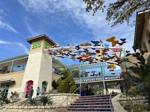 San Antonio Zoo named nation's third-best in Newsweek reader's poll