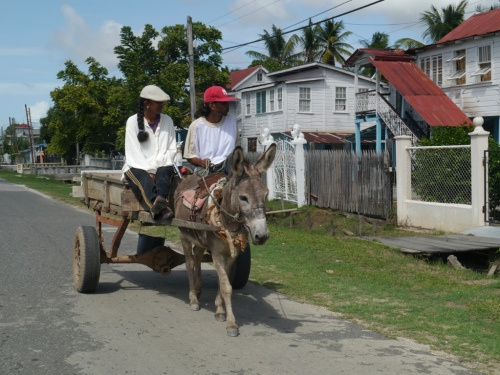 The predominantly East Indian community is bounded by Shieldstown to ...