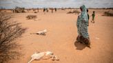 Millions in East Africa face starvation due to drought