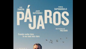 Película: "Pájaros"