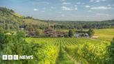 English Wine: Vineyard pitches sparkling wine against Champagne