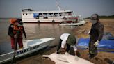 Mueren más delfines rosados en otro sector del río Amazonas de Brasil: informe
