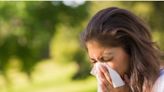 Allergy Forecast For Phoenix: What Pollen Rates Are Expected