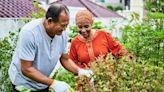 We Tried to Grow a Garden to Save Money on Fruits and Veggies. Here's How That Worked Out