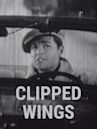 Clipped Wings (1937 film)