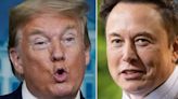 Donald Trump Throws Hissy Fit Over Elon Musk Revelation