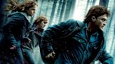 Harry Potter and the Deathly Hallows: Part 1 (2010): Where to Watch & Stream Online