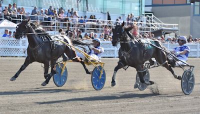 Harness racing driver James MacDonald captures 2024 Canadian driving championship