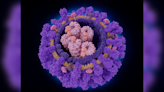 Never-before-seen antibodies can target many flu viruses