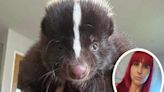 Owner of runaway skunk appeals for help after trail goes cold