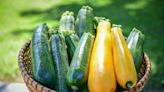 Follow This Trick for Freezing Summer Squash to Enjoy Throughout the Year