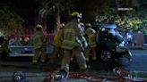 Man suspected of DUI crashes into tree in DTLA