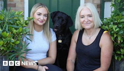 Ipswich family encourage others to help raise future guide dogs