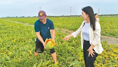 西瓜天災現金救助 雲林3鄉列入 - 地方新聞