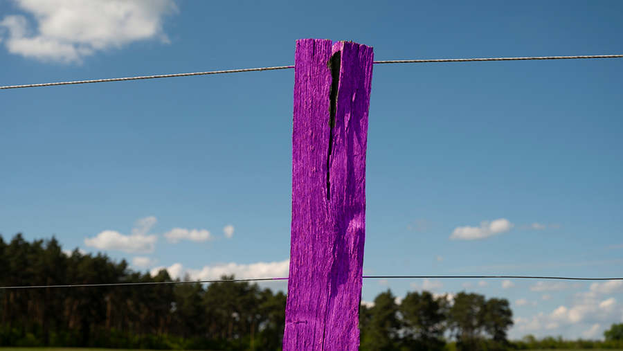 If You See A Purple Fence Post, Turn Around And Stay Away | iHeart