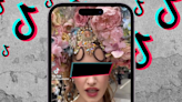 Digitine: Understanding the Blocking, Unfollowing Campaigns of Celebs on TikTok