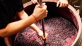 You'll Be Surprised by How Many Grapes it Takes to Make One Bottle of Wine