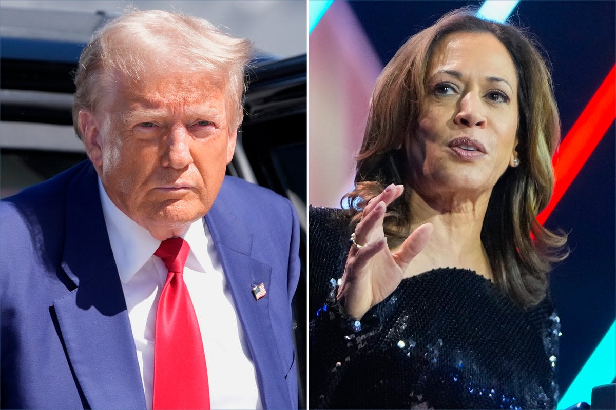 Trump claims ‘only consequential presidents get shot at’ as Harris slams ‘hateful’ migrant conspiracy: Live