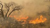 Power Lines May Have Ignited the Largest Wildfire in Texas History, Forest Service Says