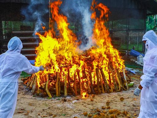 Central Travancore, a sitting duck to avian flu