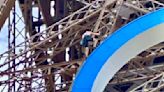 Paris Olympics 2024: Man climbs Eiffel Tower, prompts evacuation hours before closing ceremony | Watch | Today News