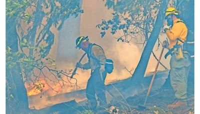 Miles luchan vs incendios en EU y Canadá