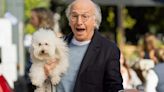 'Curb Your Enthusiasm' Officially Ending with Season 12