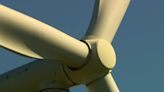 'No need to rush' on wind farm impact assessment, says environmental group