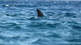 Un tiburón golpea violentamente una moto de agua en la misma playa en la que una mujer y dos adolescentes fueron atacadas