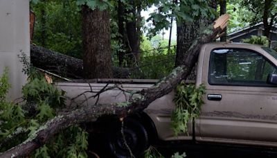 West Charlotte family assesses damage after storm causes tree to fall onto car, powerlines