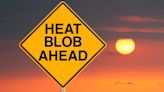 Heat Blobs Sound Cute — But Act Deadly