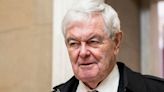 Newt Gingrich Calls On Florida Republican To Back Away From 'Insane' Bill