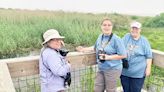 PHOTO FEATURE — The Great Texas Birding Classic - Port Arthur News