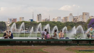 Corredores verdes e cidades-esponja, as soluções que vêm da natureza